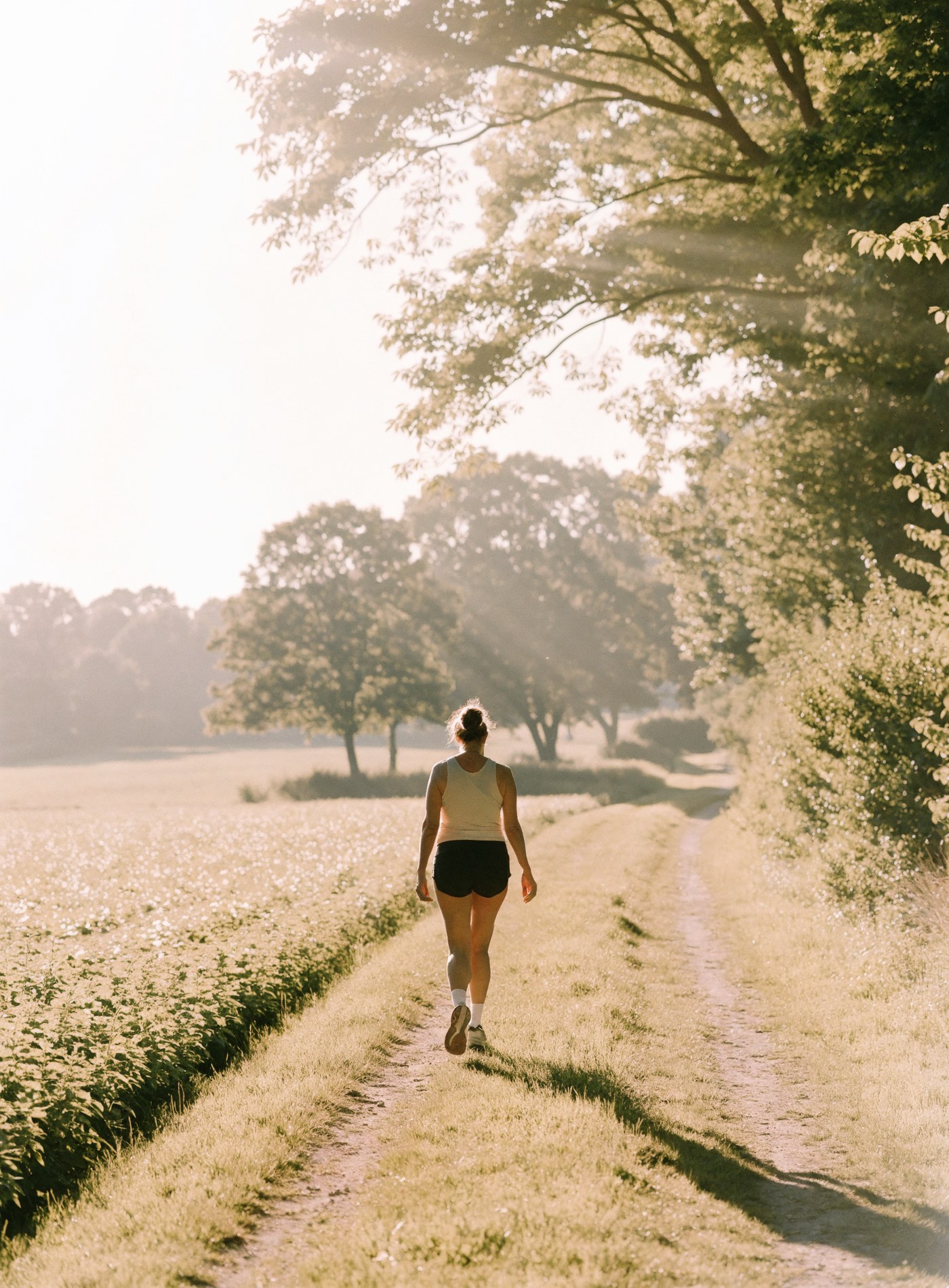 A woman walking a sunlit countryside path, seen from behind